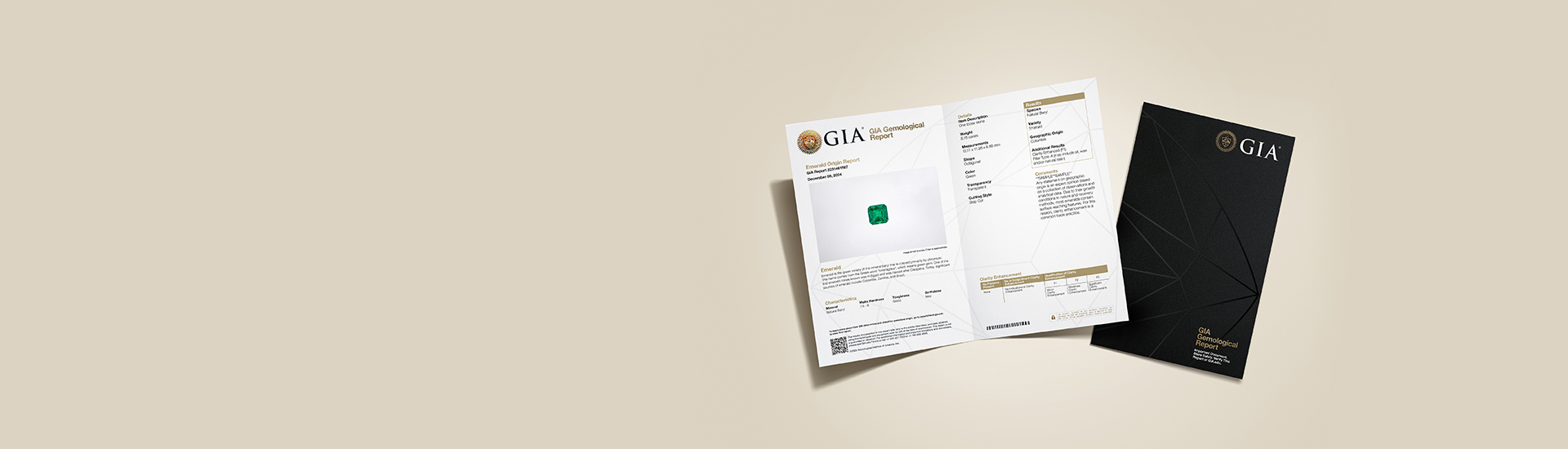 GIA 宝石鑑定　教科書　日本語翻訳付き GIA 宝石鑑定 教科書 日本語翻訳付き GIA 宝石鑑定教科書日本語翻訳付き